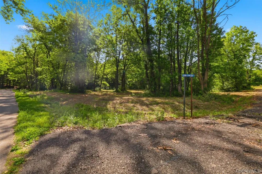 238 Bruceville Road High Falls, NY 12440