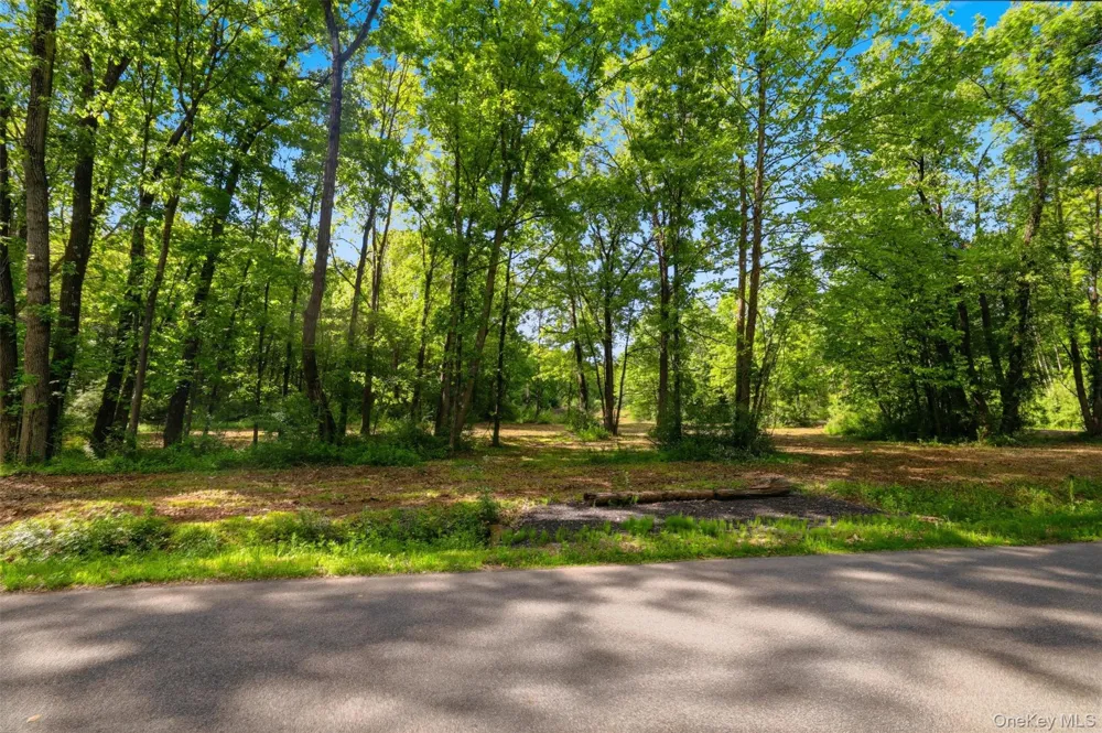 238 Bruceville Road High Falls, NY 12440