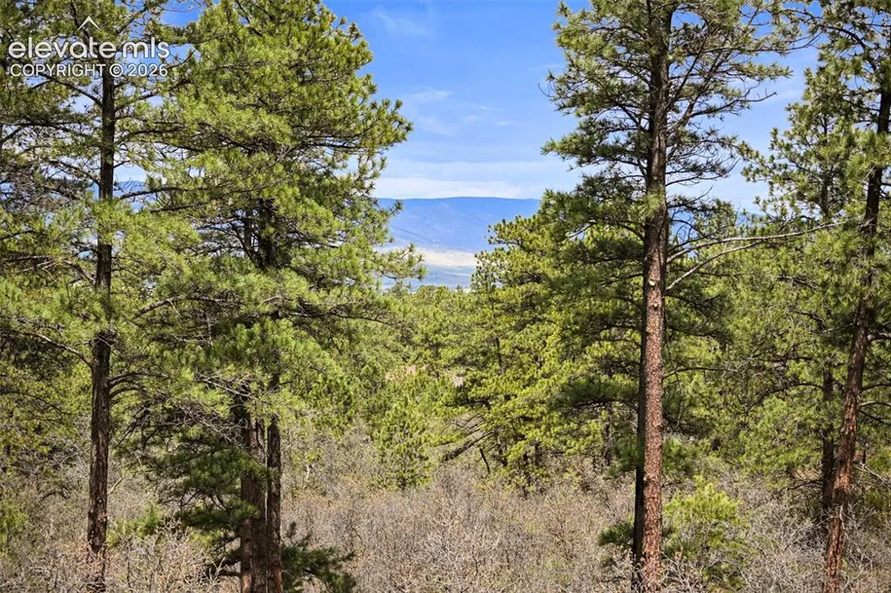 1851 Gore Drive Larkspur, CO 80118