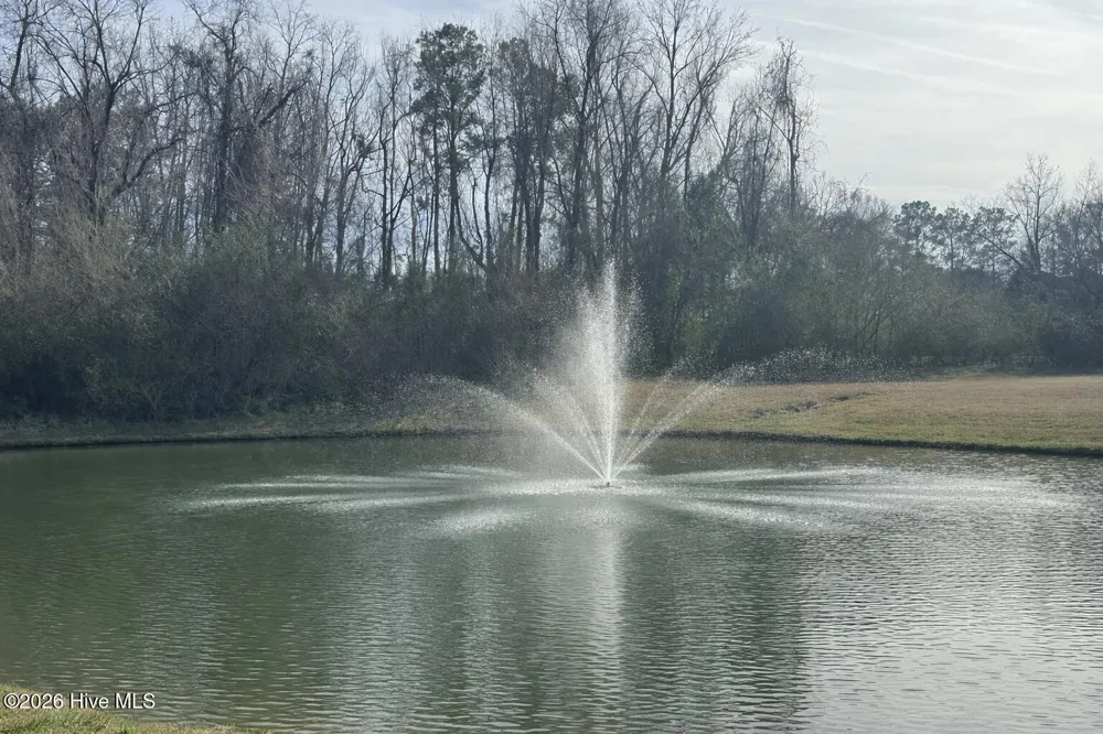 63 Waterfall Lane Whiteville, NC 28472