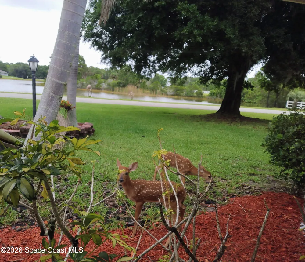 4500 Hunters Run Circle Grant, FL 32949