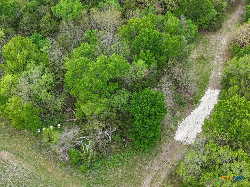 FM 709 S Other, TX 76679