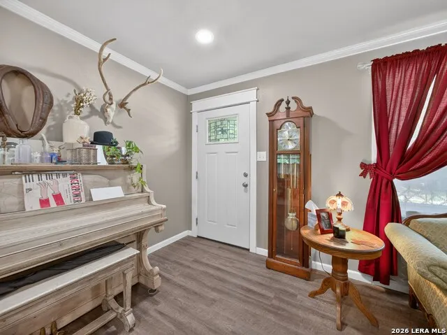 461 Shorty's Ln Fredericksburg, TX 78624
