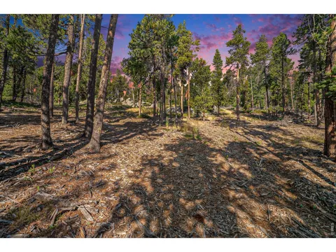 231 Granite Drive
