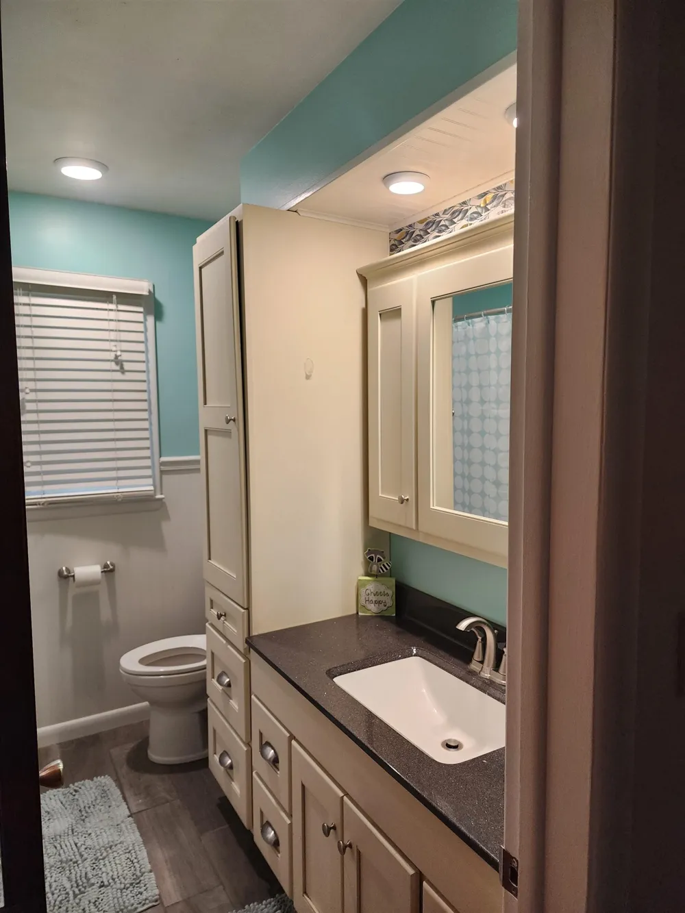 540 Fairlane Drive Alma City, MI 48801