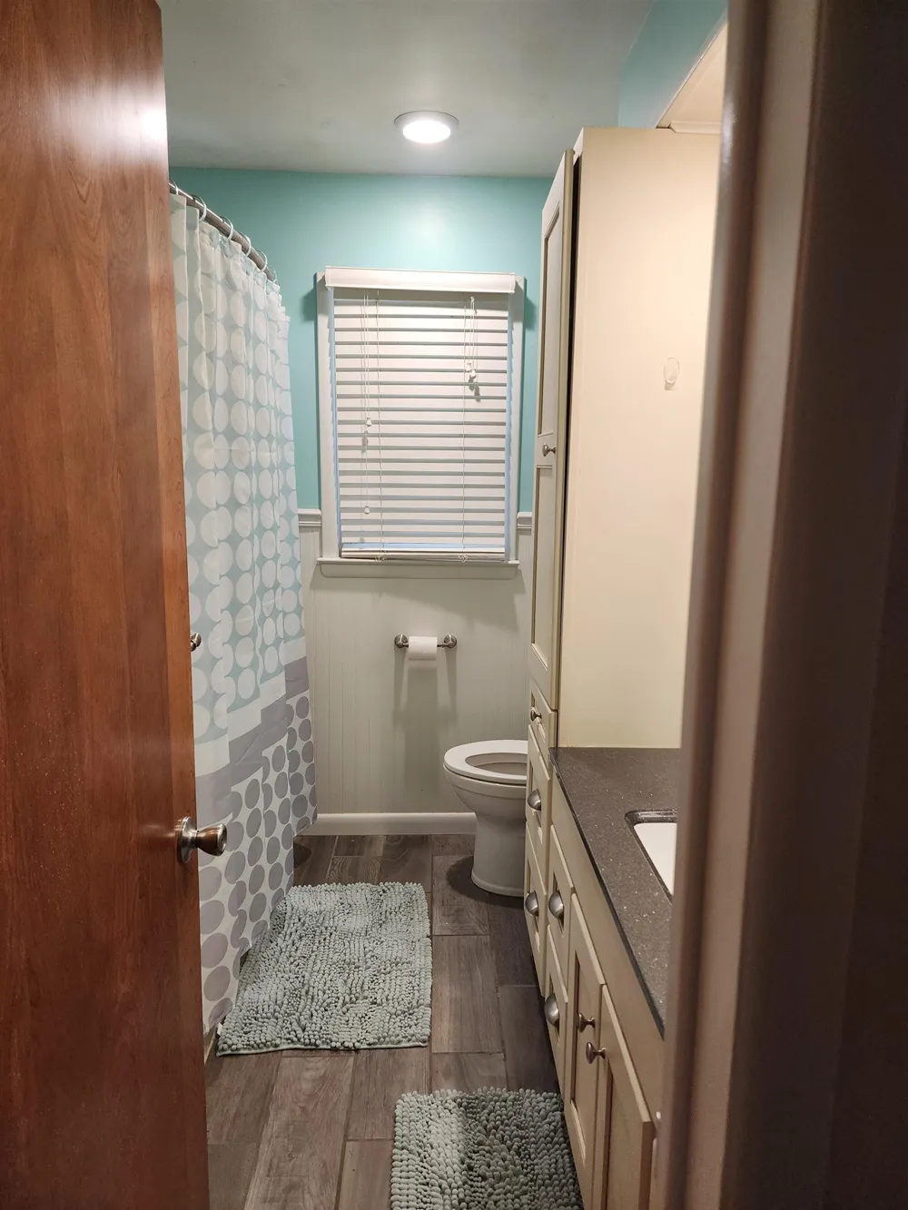 540 Fairlane Drive Alma City, MI 48801