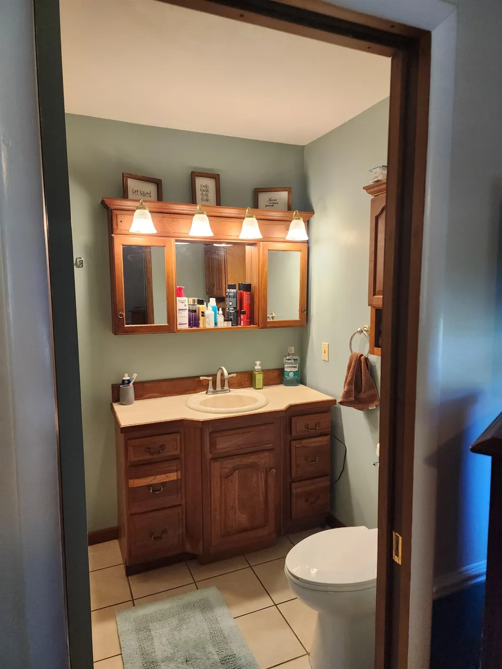 540 Fairlane Drive Alma City, MI 48801