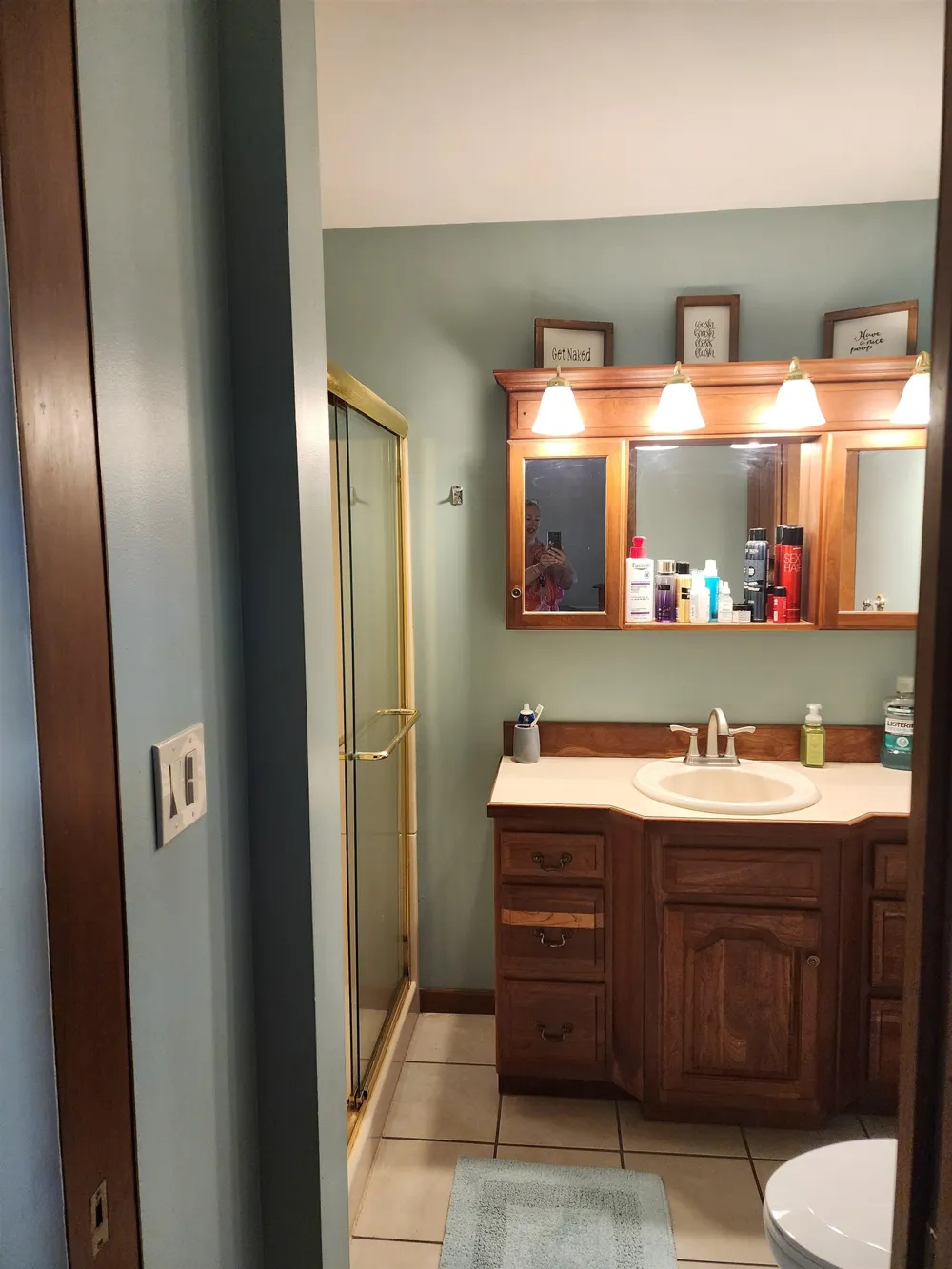 540 Fairlane Drive Alma City, MI 48801