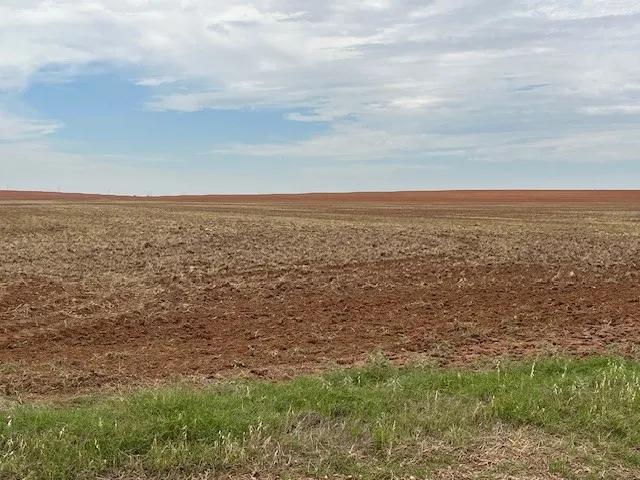 Fm 611 W Rotan, TX 79546