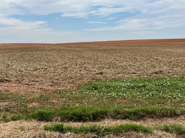 Fm 611 W Rotan, TX 79546