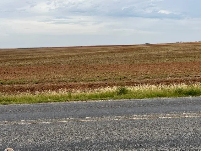 Fm 611 W Rotan, TX 79546