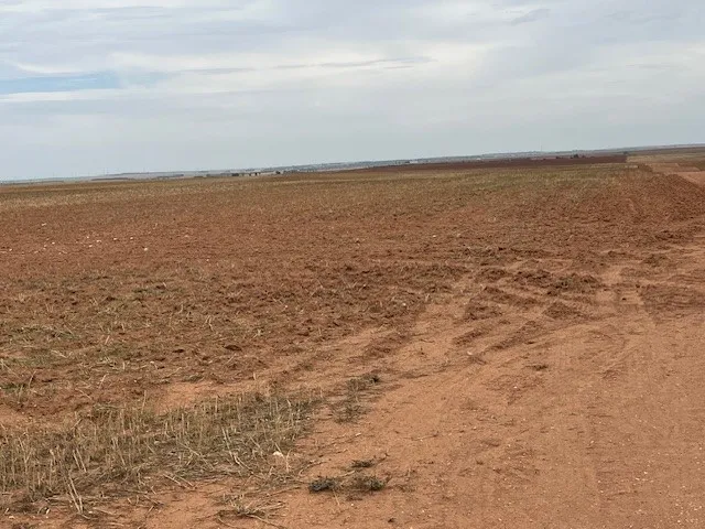 Fm 611 W Rotan, TX 79546