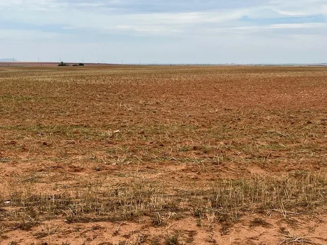 Fm 611 W Rotan, TX 79546