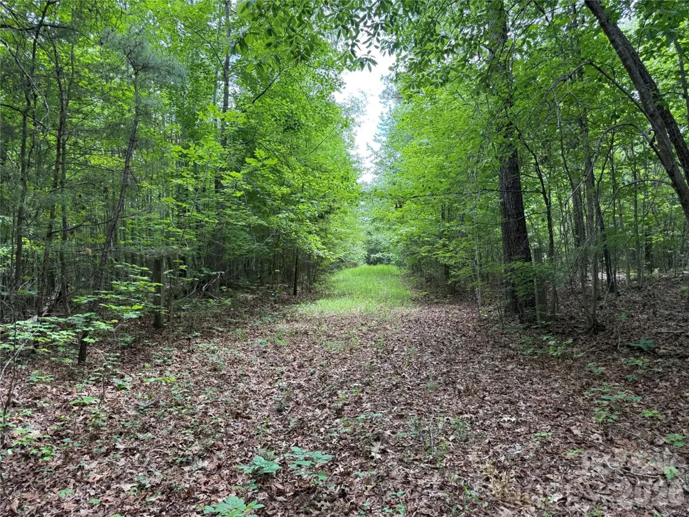 0 Herbert Faucette Road Bullock, NC 27507