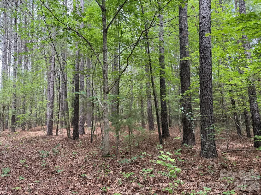 0 Herbert Faucette Road Bullock, NC 27507