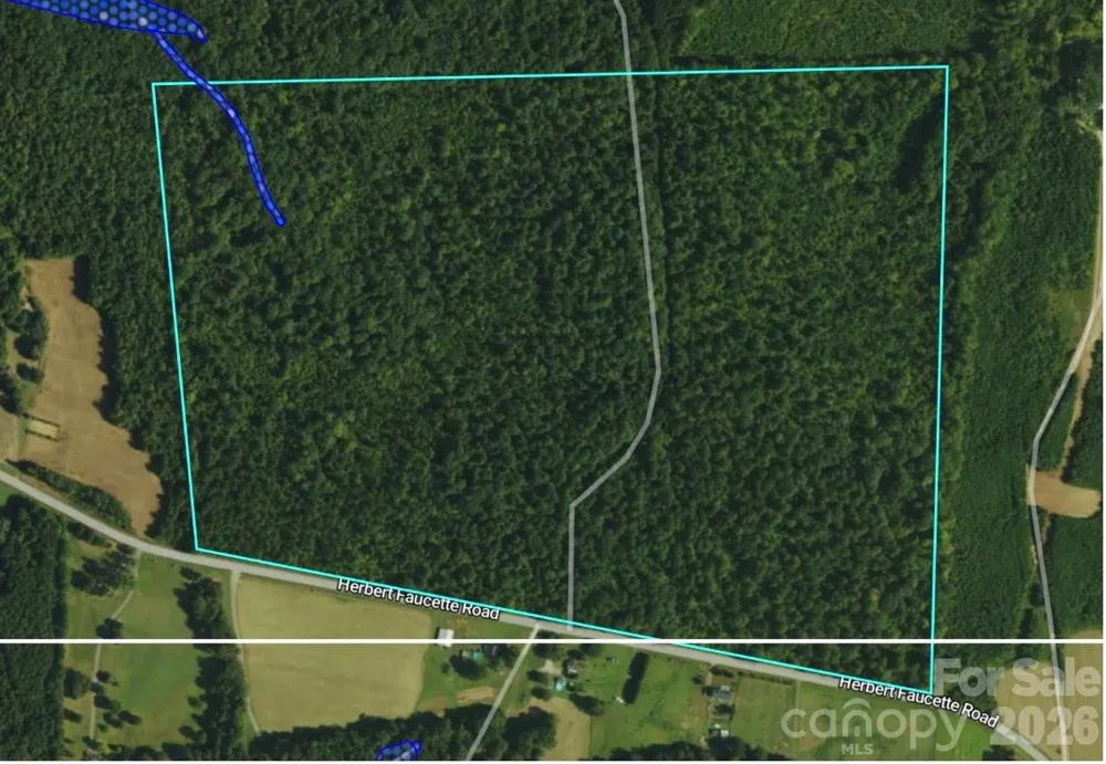 0 Herbert Faucette Road Bullock, NC 27507