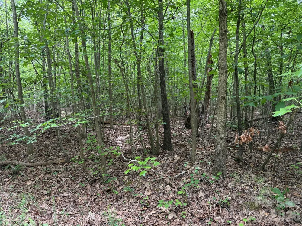 0 Herbert Faucette Road Bullock, NC 27507
