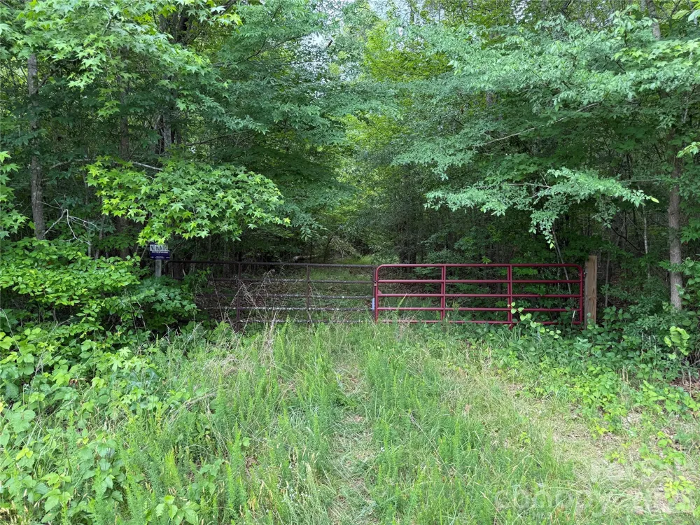 0 Herbert Faucette Road Bullock, NC 27507