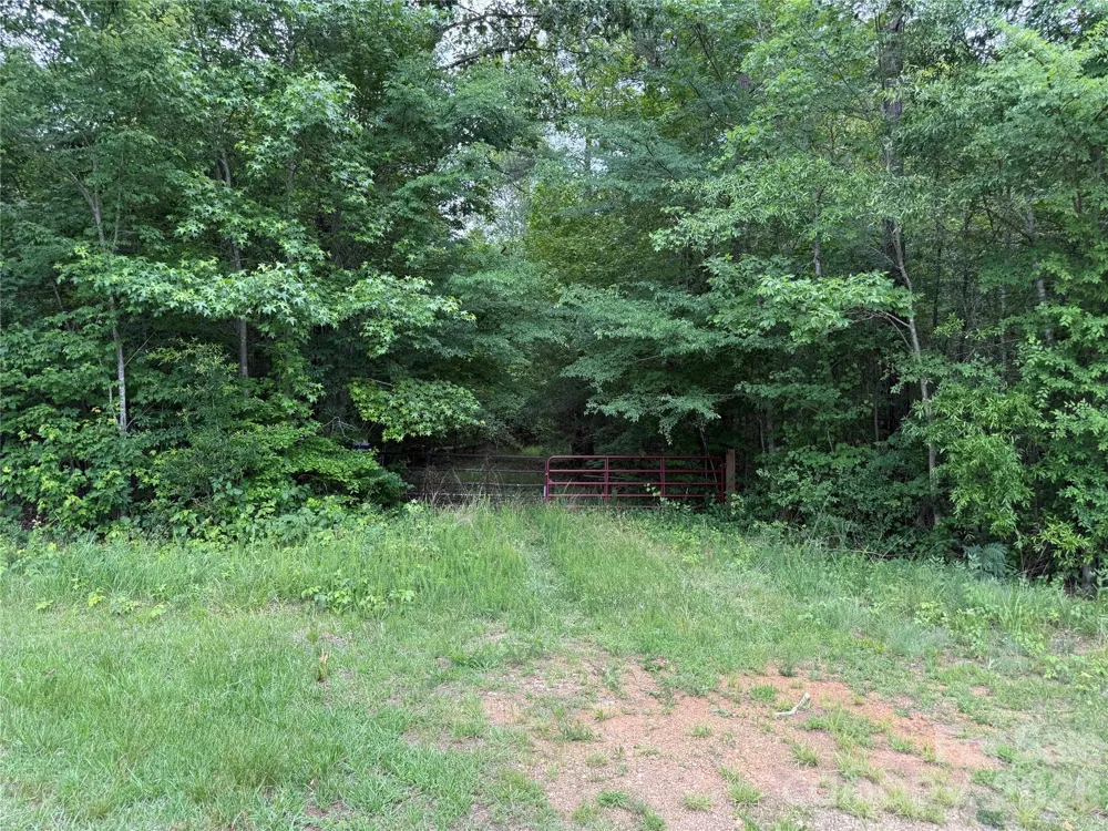 0 Herbert Faucette Road Bullock, NC 27507