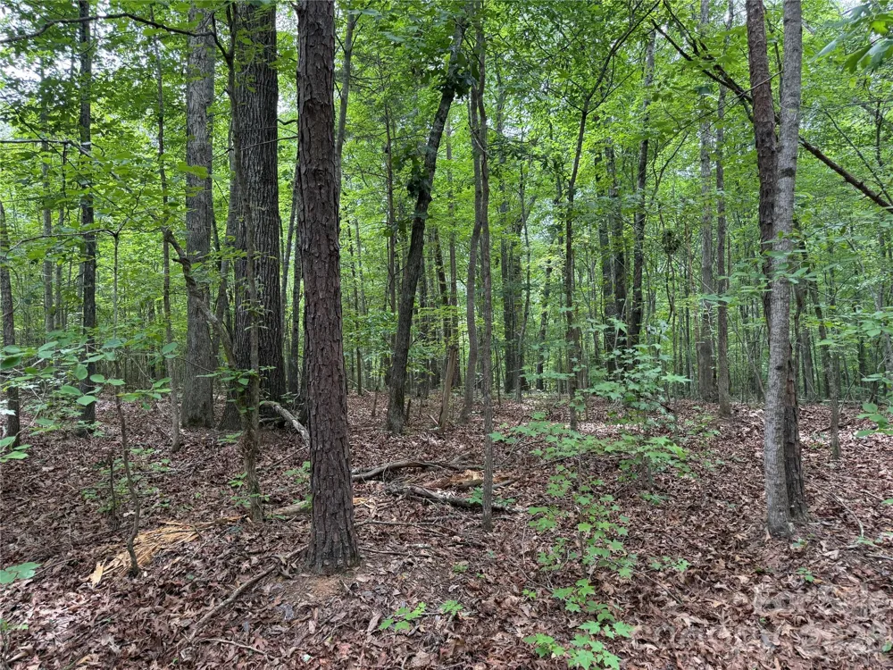 0 Herbert Faucette Road Bullock, NC 27507