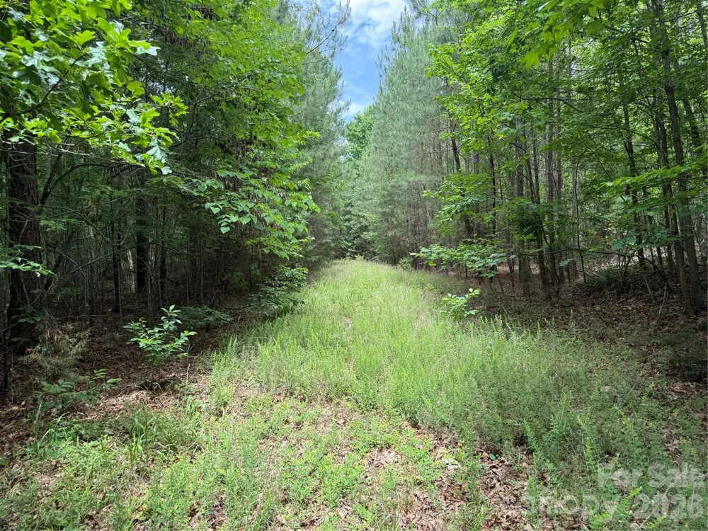 0 Herbert Faucette Road Bullock, NC 27507