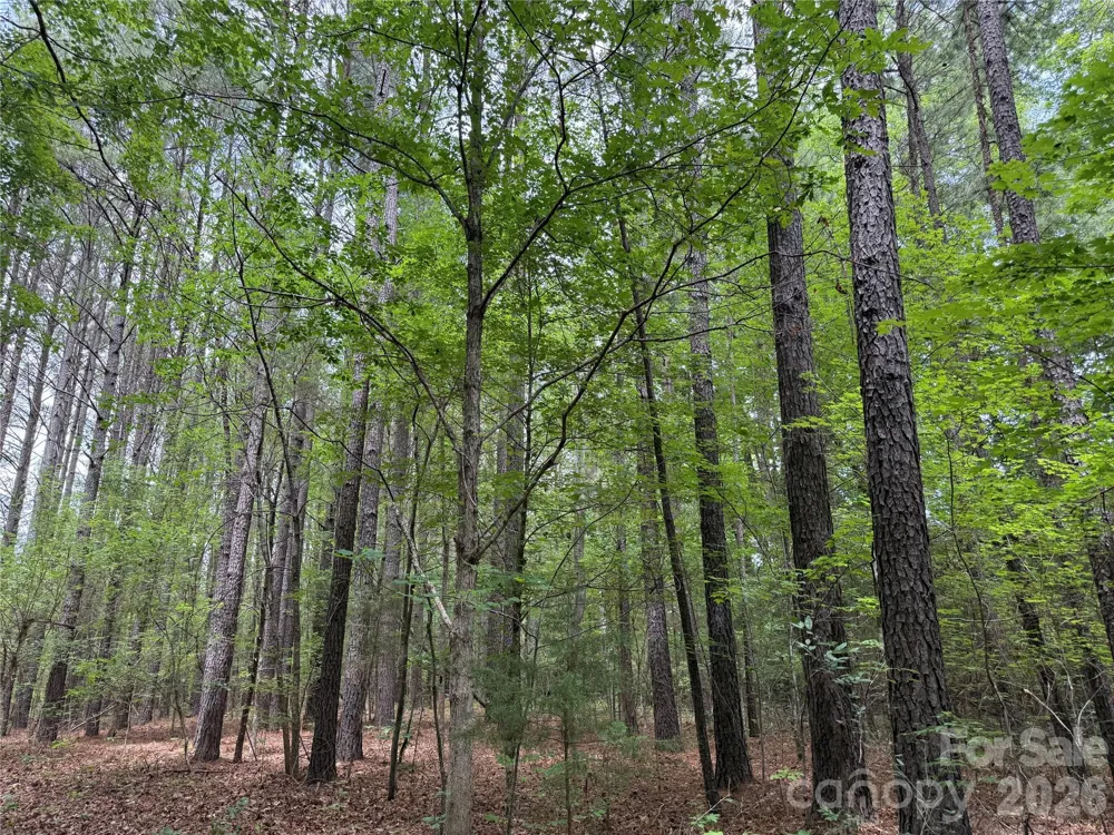 0 Herbert Faucette Road Bullock, NC 27507