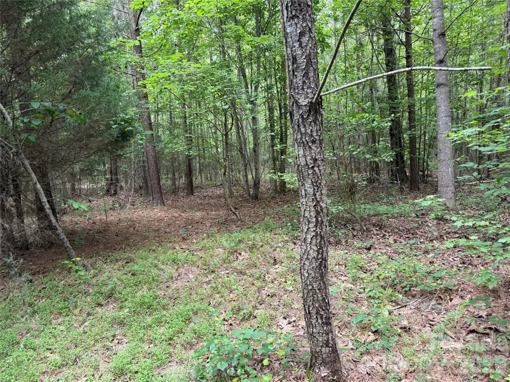 0 Herbert Faucette Road Bullock, NC 27507