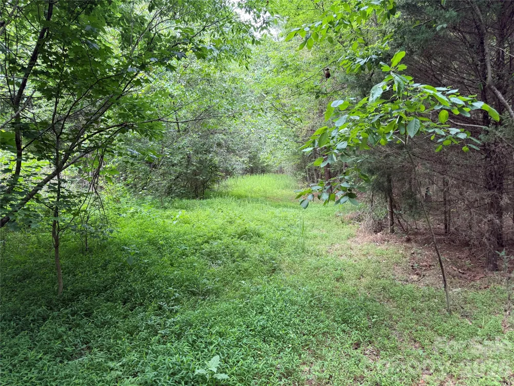 0 Herbert Faucette Road Bullock, NC 27507