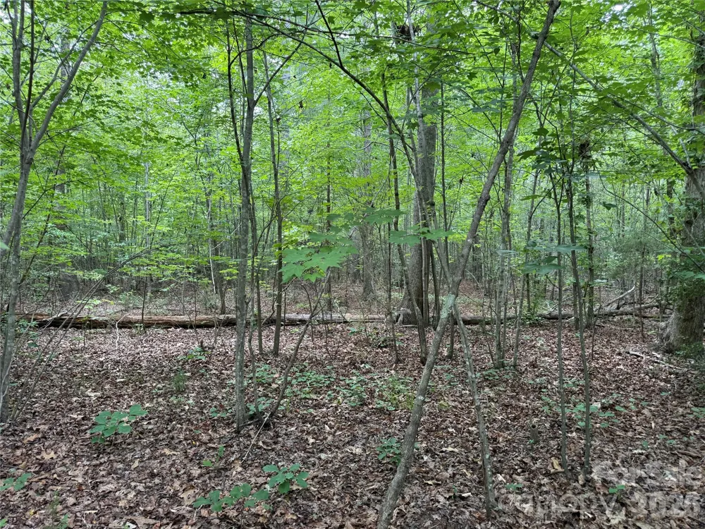 0 Herbert Faucette Road Bullock, NC 27507
