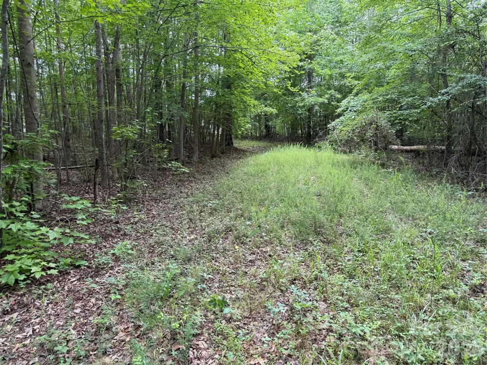 0 Herbert Faucette Road Bullock, NC 27507