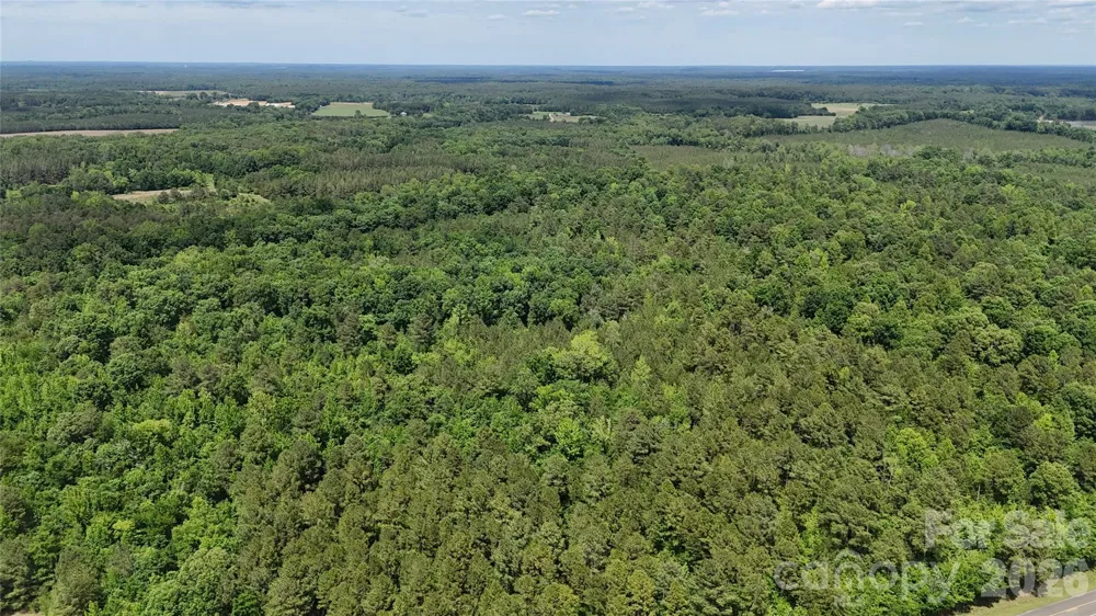 0 Herbert Faucette Road Bullock, NC 27507
