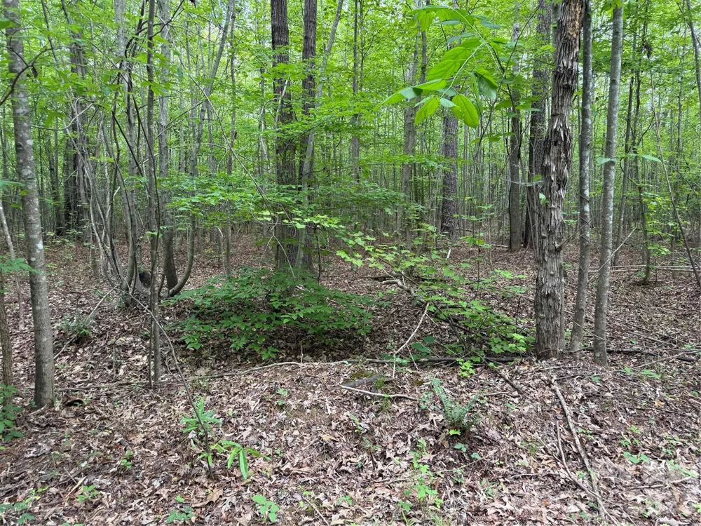 0 Herbert Faucette Road Bullock, NC 27507