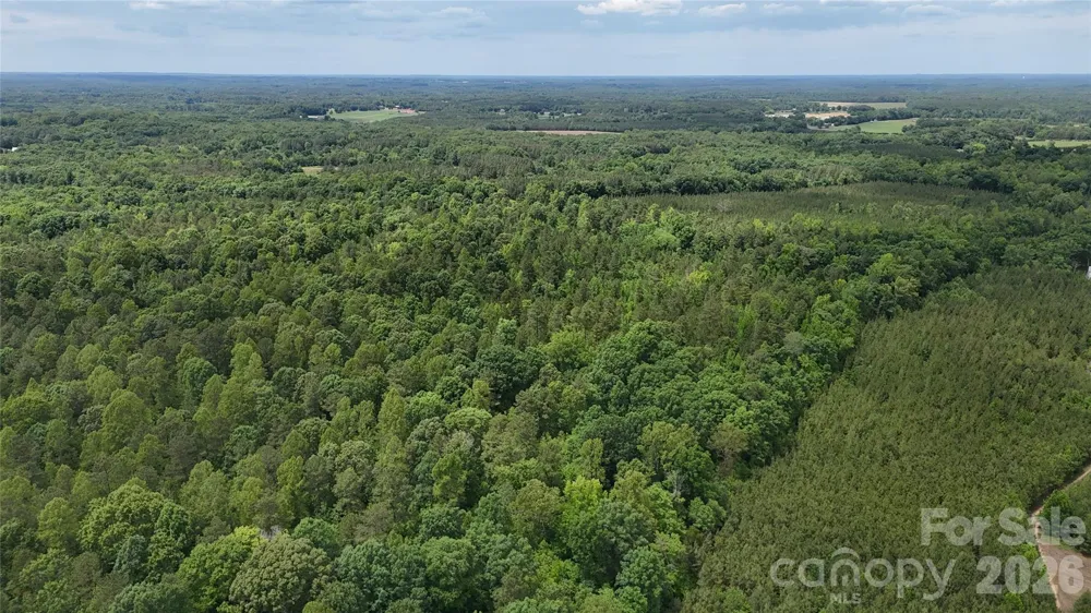 0 Herbert Faucette Road Bullock, NC 27507