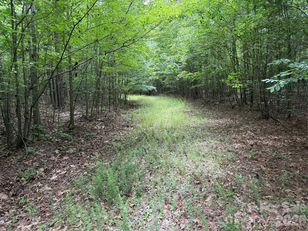 0 Herbert Faucette Road Bullock, NC 27507