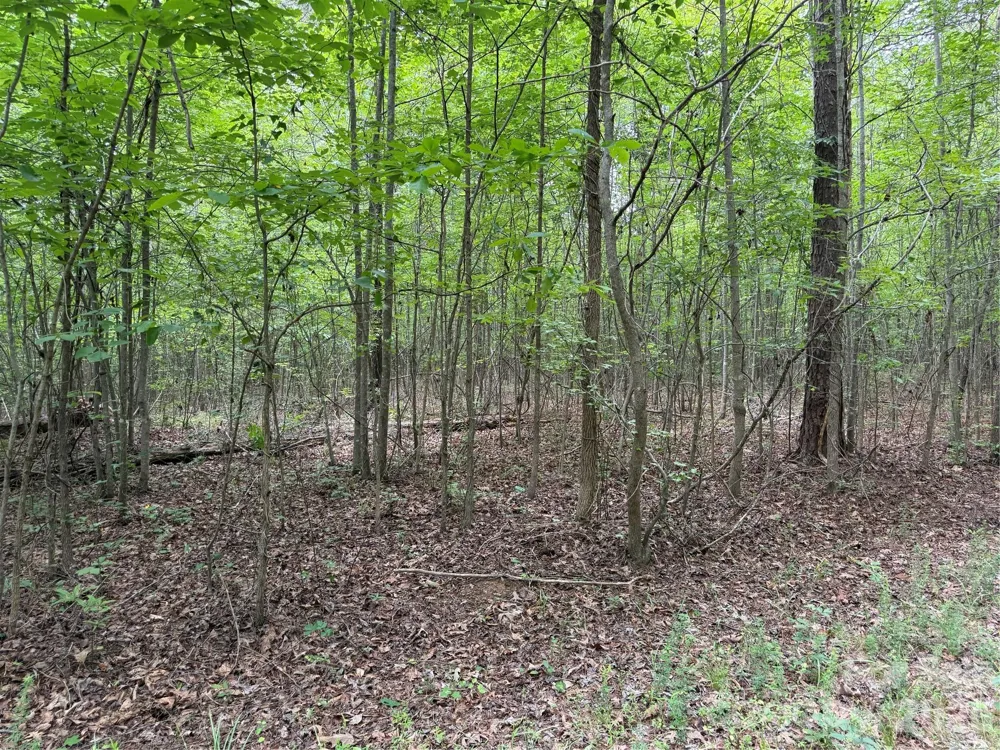 0 Herbert Faucette Road Bullock, NC 27507