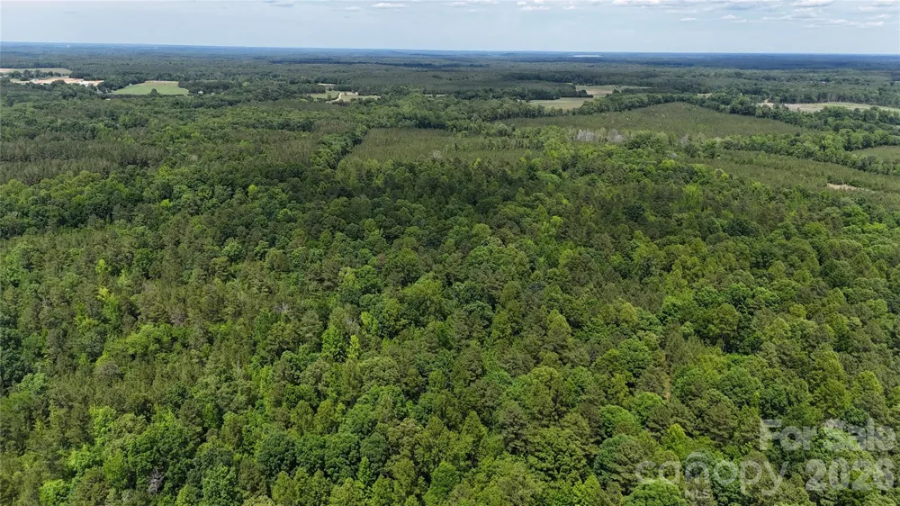 0 Herbert Faucette Road Bullock, NC 27507