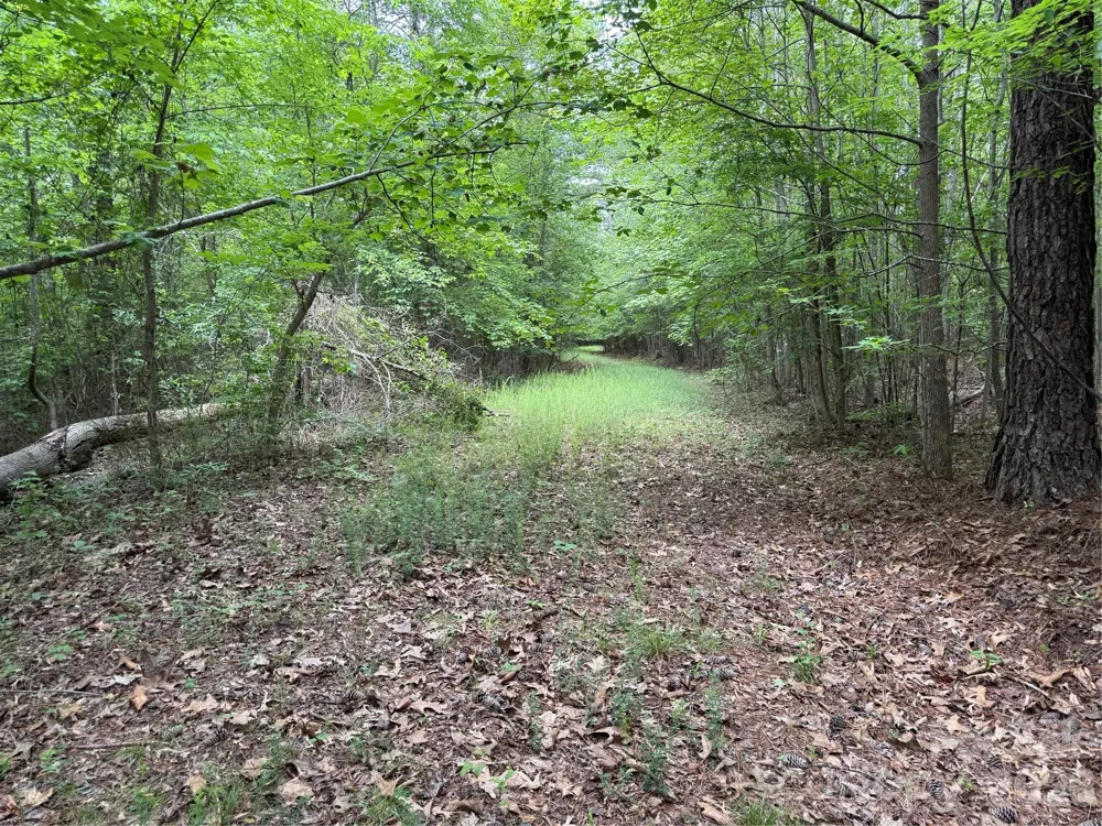 0 Herbert Faucette Road Bullock, NC 27507