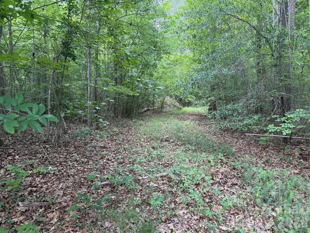 0 Herbert Faucette Road Bullock, NC 27507