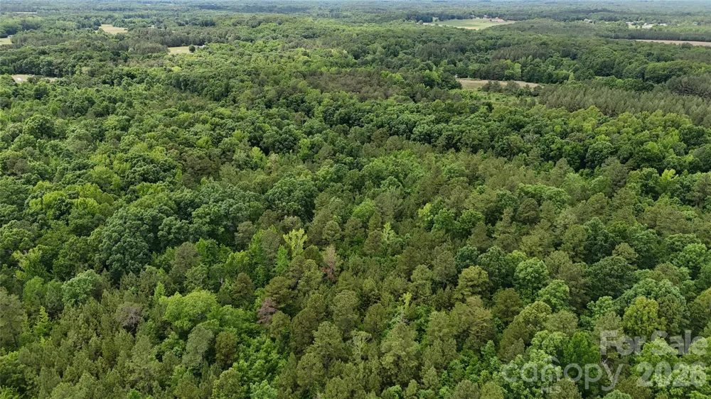 0 Herbert Faucette Road Bullock, NC 27507