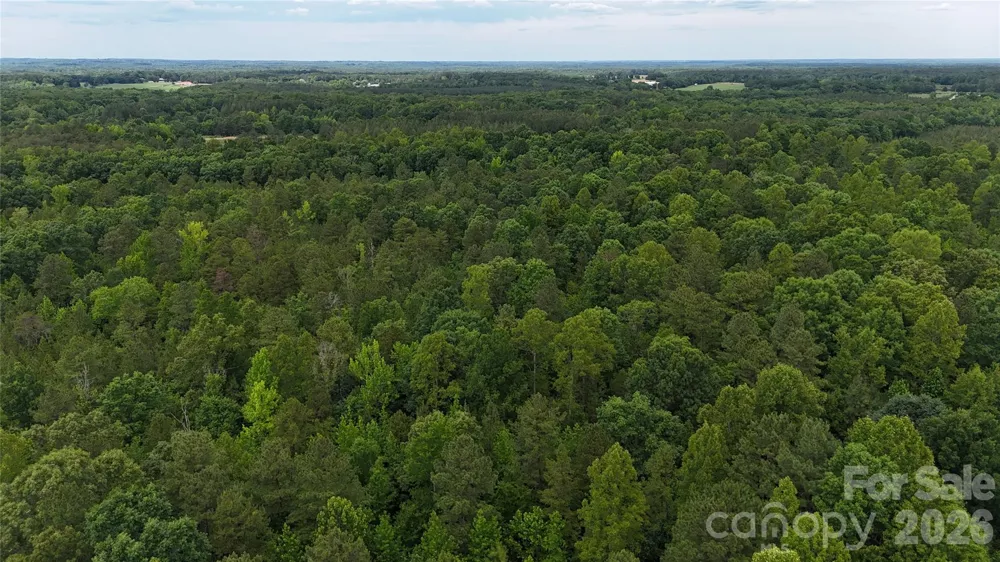 0 Herbert Faucette Road Bullock, NC 27507