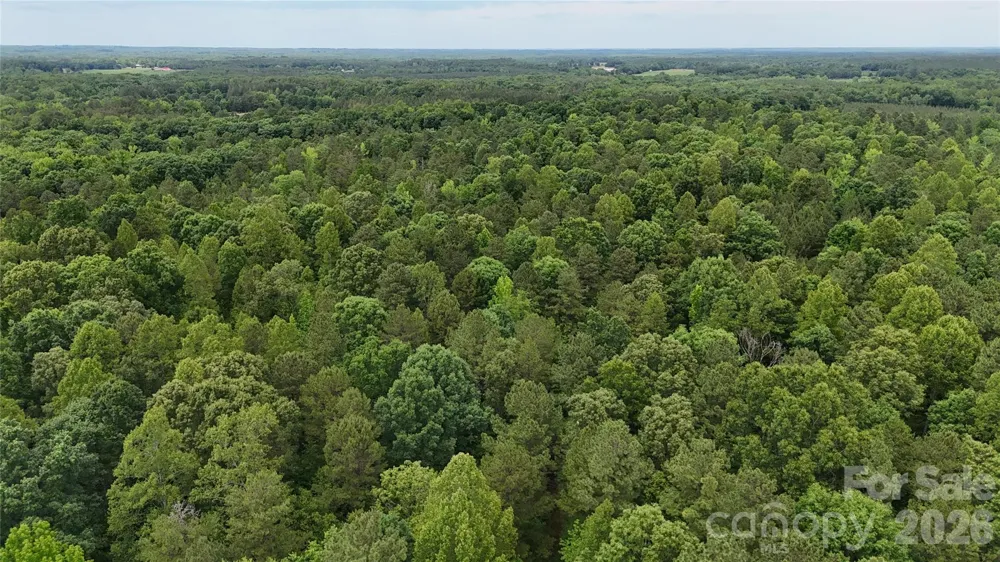 0 Herbert Faucette Road Bullock, NC 27507