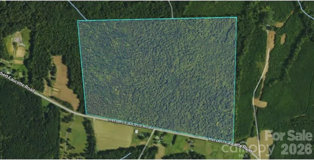 0 Herbert Faucette Road Bullock, NC 27507