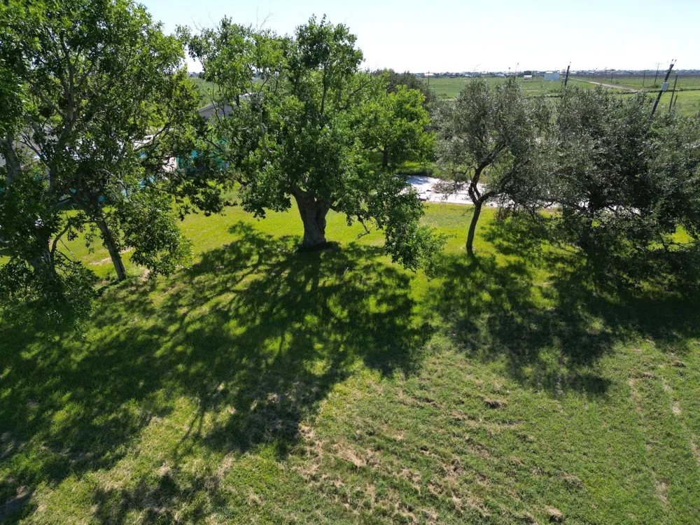167 County Road 206 Sargent, TX 77414