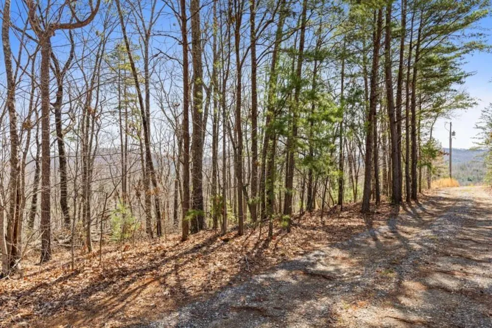 40A Synacia Road Mineral Bluff, GA 30559