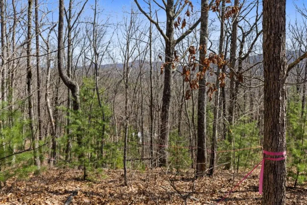 40A Synacia Road Mineral Bluff, GA 30559