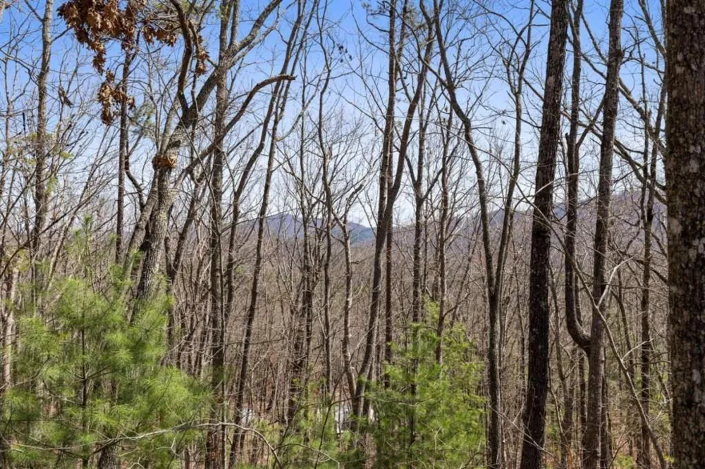 40A Synacia Road Mineral Bluff, GA 30559