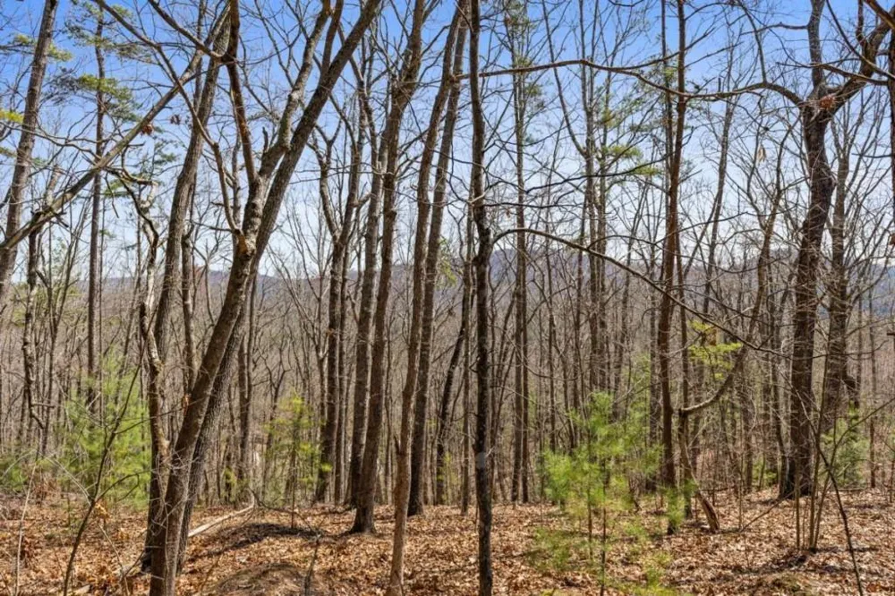 40A Synacia Road Mineral Bluff, GA 30559