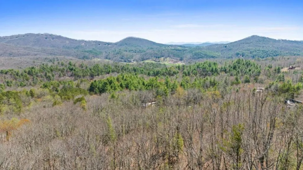 40A Synacia Road Mineral Bluff, GA 30559