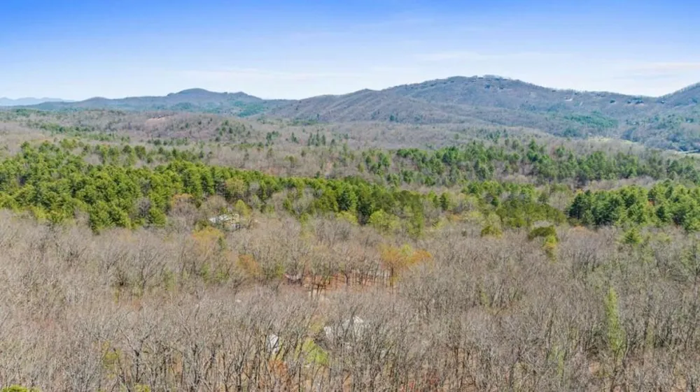40A Synacia Road Mineral Bluff, GA 30559
