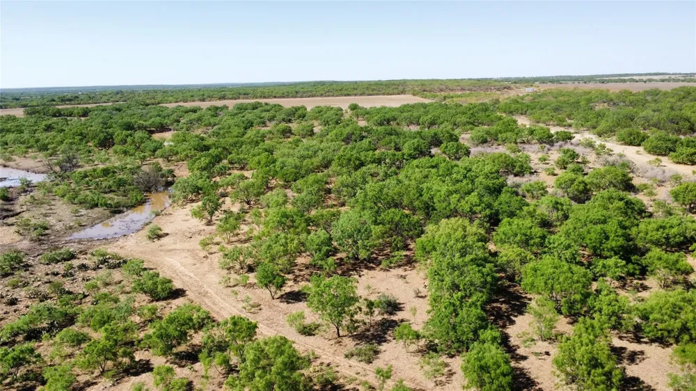 County Road 346 Gouldbusk, TX 76845
